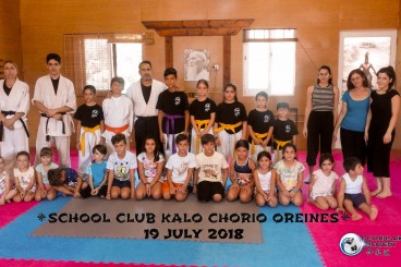 AIKIDO SEMINAR TO THE CLUB OF KALO CHORIO ORINIS