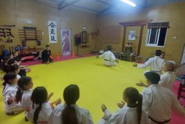 Aikido Kids class